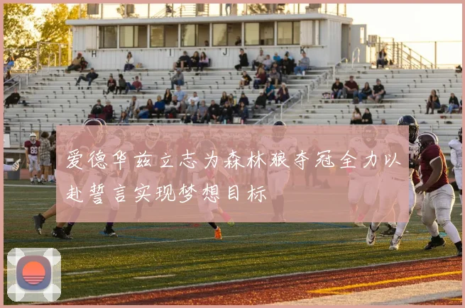 爱德华兹立志为森林狼夺冠全力以赴誓言实现梦想目标