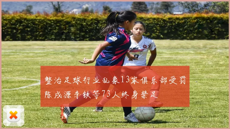 整治足球行业乱象13家俱乐部受罚陈戌源李铁等73人终身禁足