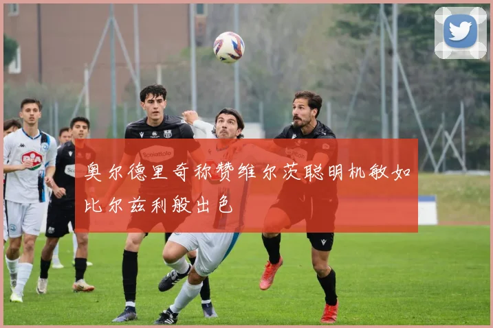 奥尔德里奇称赞维尔茨聪明机敏如比尔兹利般出色