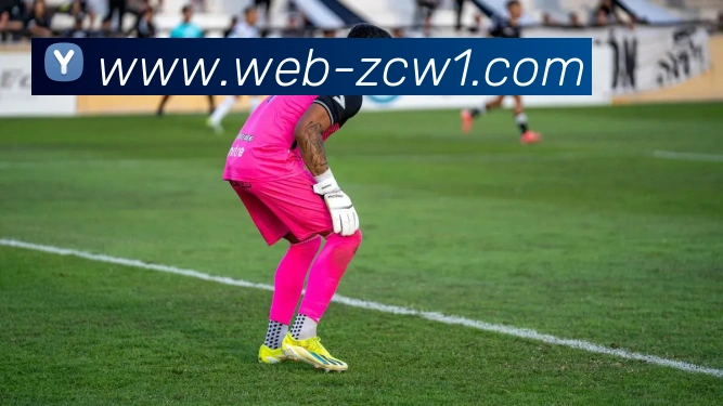 足球投注网发展历程