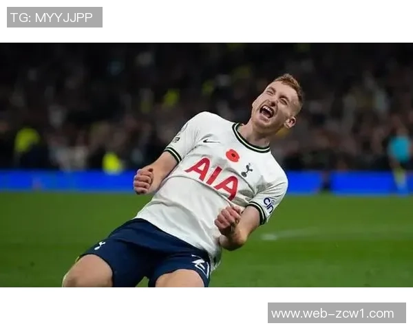 英足总调查热刺与维拉冲突事件球迷热议责任归属 英足总调查热刺与维拉冲突事件球迷热议责任归属